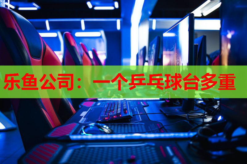 一个乒乓球台多重 一个乒乓球台多重