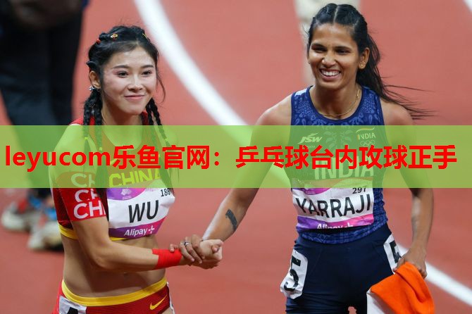 乒乓球台内攻球正手 乒乓球台内攻球正手