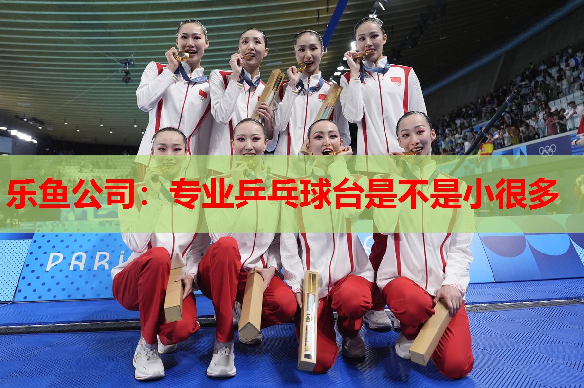 专业乒乓球台是不是小很多 专业乒乓球台是不是小很多