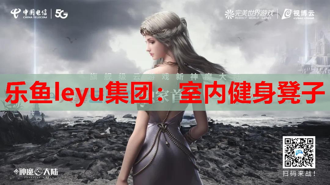 室内健身凳子 室内健身凳子