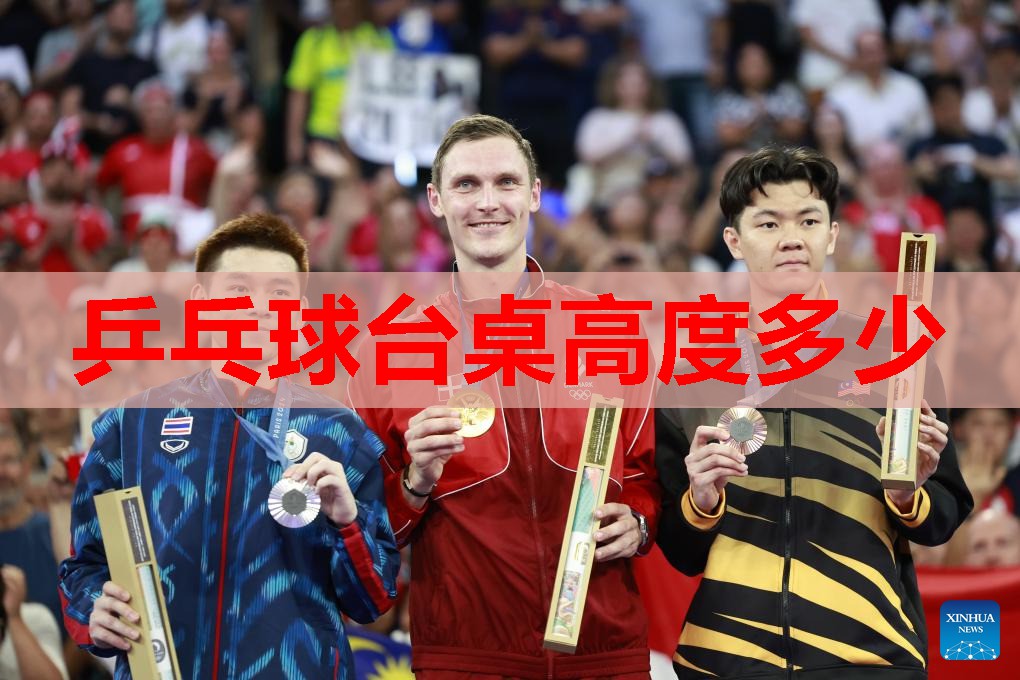 乒乓球台桌高度多少 乒乓球台桌高度多少