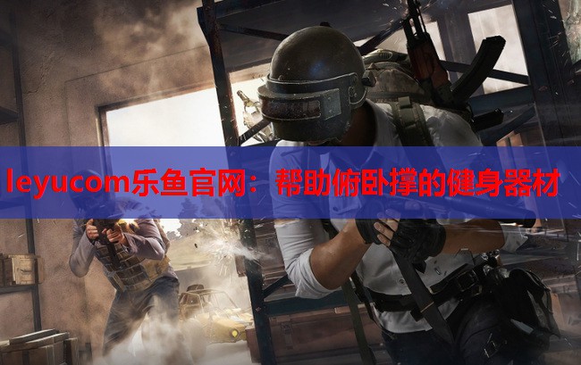帮助俯卧撑的健身器材 帮助俯卧撑的健身器材