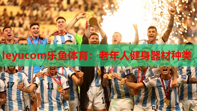 老年人健身器材种类 老年人健身器材种类