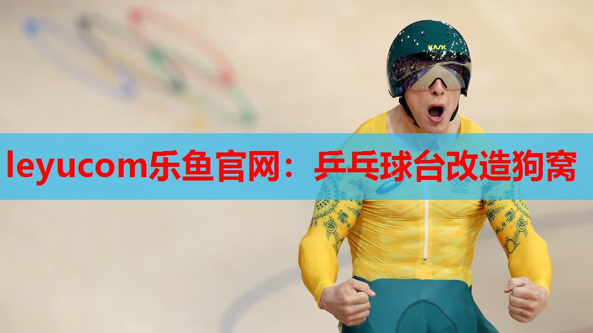 乒乓球台改造狗窝 乒乓球台改造狗窝