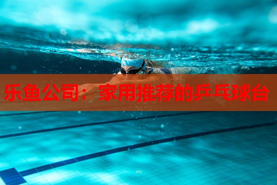 家用推荐的乒乓球台 家用推荐的乒乓球台