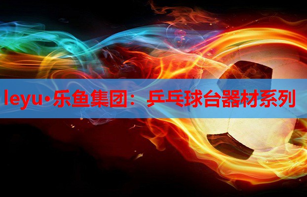 乒乓球台器材系列 乒乓球台器材系列