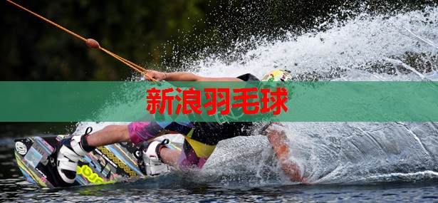 新浪羽毛球 新浪羽毛球