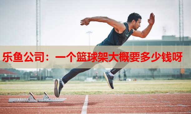 一个篮球架大概要多少钱呀
