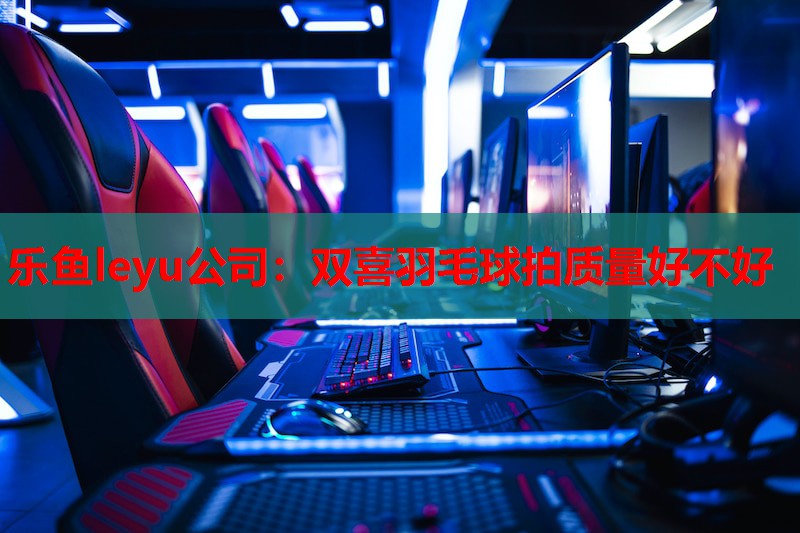 双喜羽毛球拍质量好不好 双喜羽毛球拍质量好不好