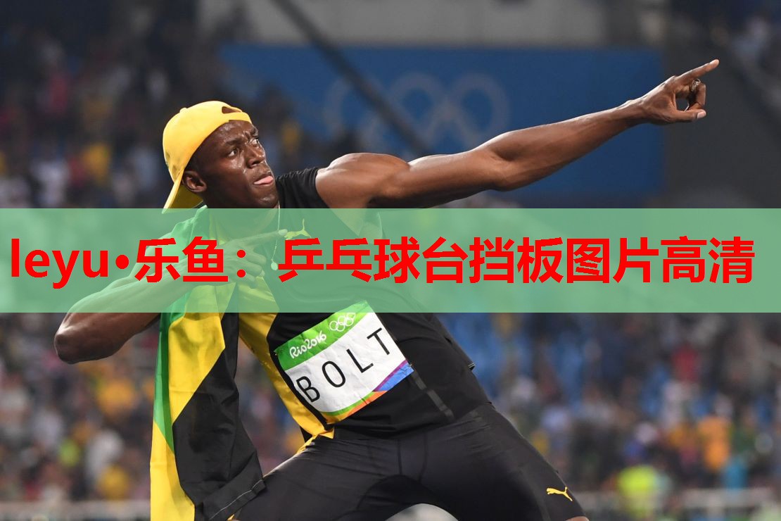 乒乓球台挡板图片高清 乒乓球台挡板图片高清