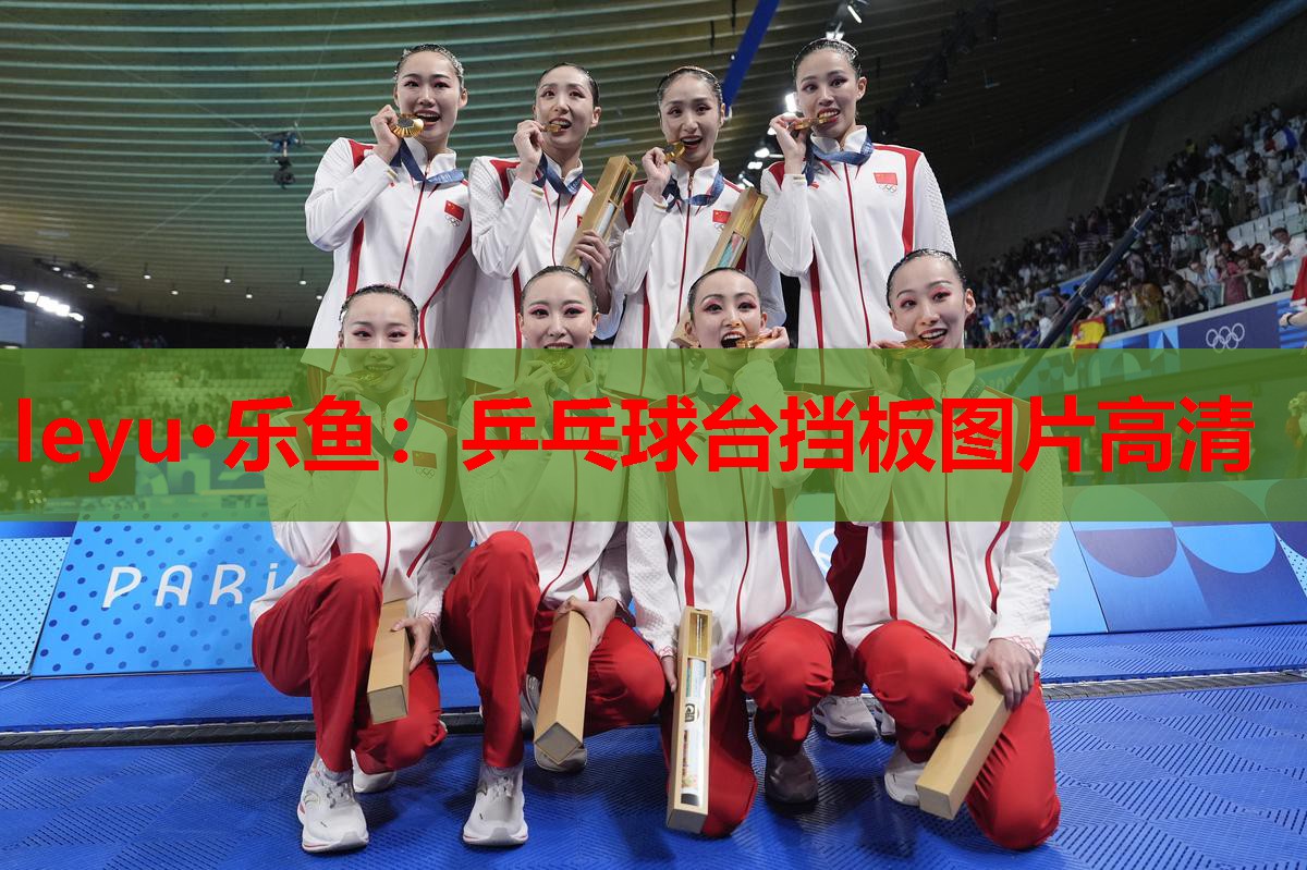 乒乓球台挡板图片高清 乒乓球台挡板图片高清