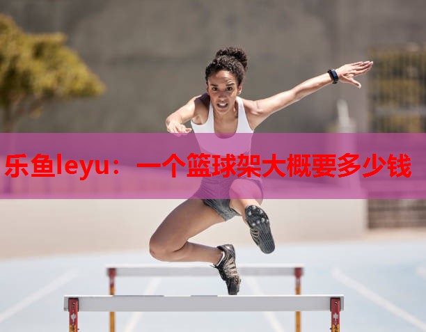 一个篮球架大概要多少钱 一个篮球架大概要多少钱