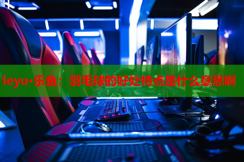 羽毛球的好处特点是什么意思啊 羽毛球的好处特点是什么意思啊