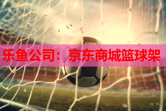 京东商城篮球架 京东商城篮球架