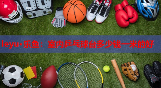 室内乒乓球台多少钱一米的好 室内乒乓球台多少钱一米的好