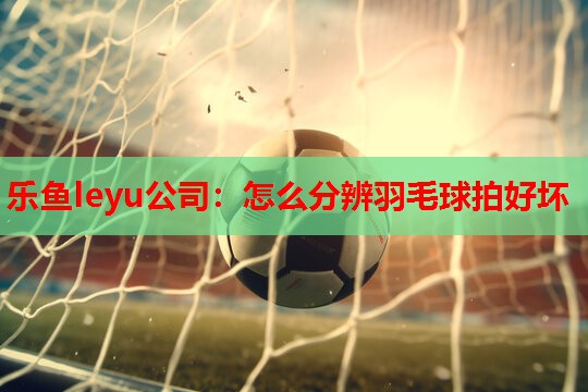 怎么分辨羽毛球拍好坏 怎么分辨羽毛球拍好坏