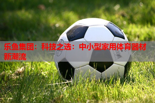 科技之选:中小型家用体育器材新潮流 科技之选:中小型家用体育器材新潮流