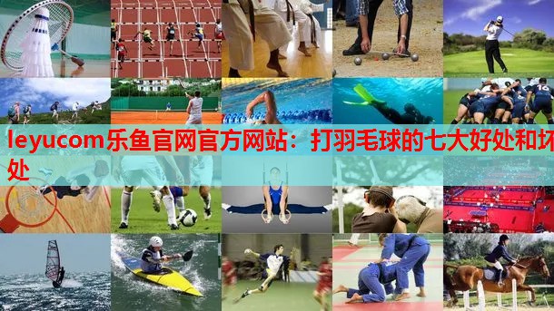 打羽毛球的七大好处和坏处 打羽毛球的七大好处和坏处