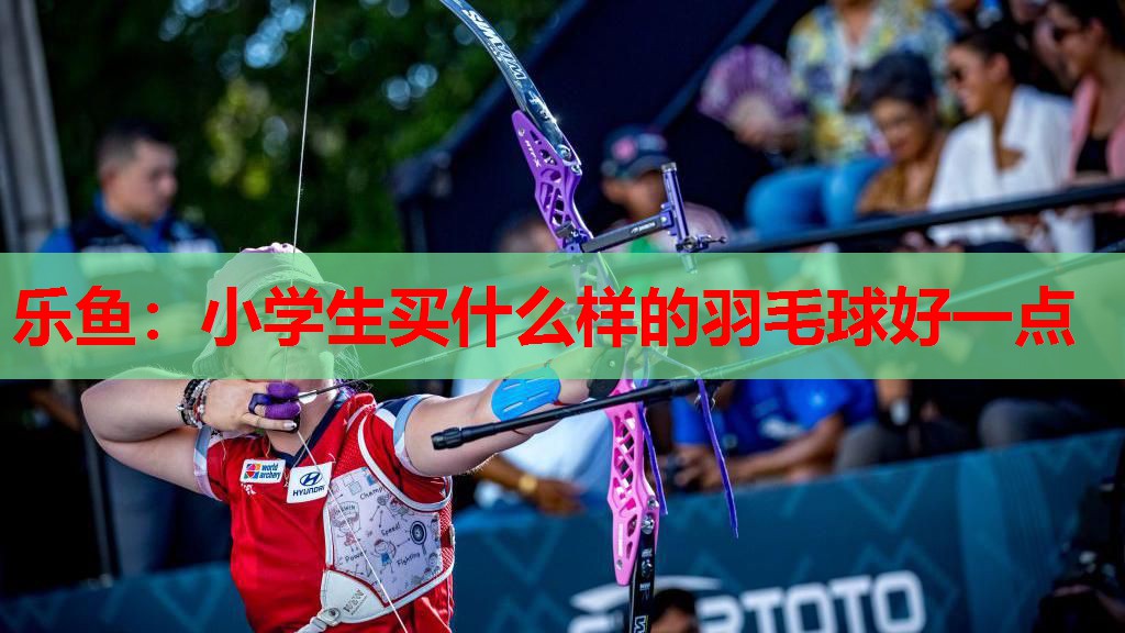 小学生买什么样的羽毛球好一点 小学生买什么样的羽毛球好一点