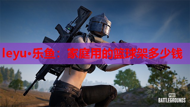 家庭用的篮球架多少钱 家庭用的篮球架多少钱